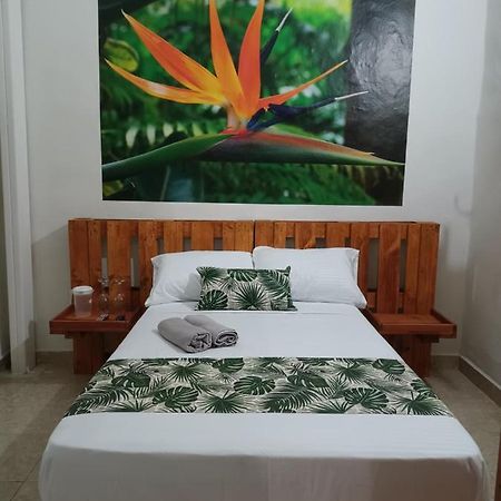 Hospedajes El Jardin Envigado Bagian luar foto